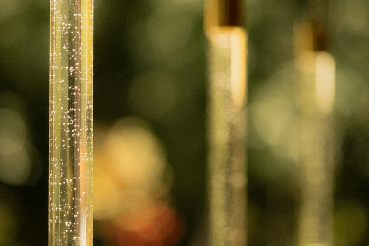 糖質制限の落とし穴：見落としがちな肌のサインと、内側からの優しいアプローチ